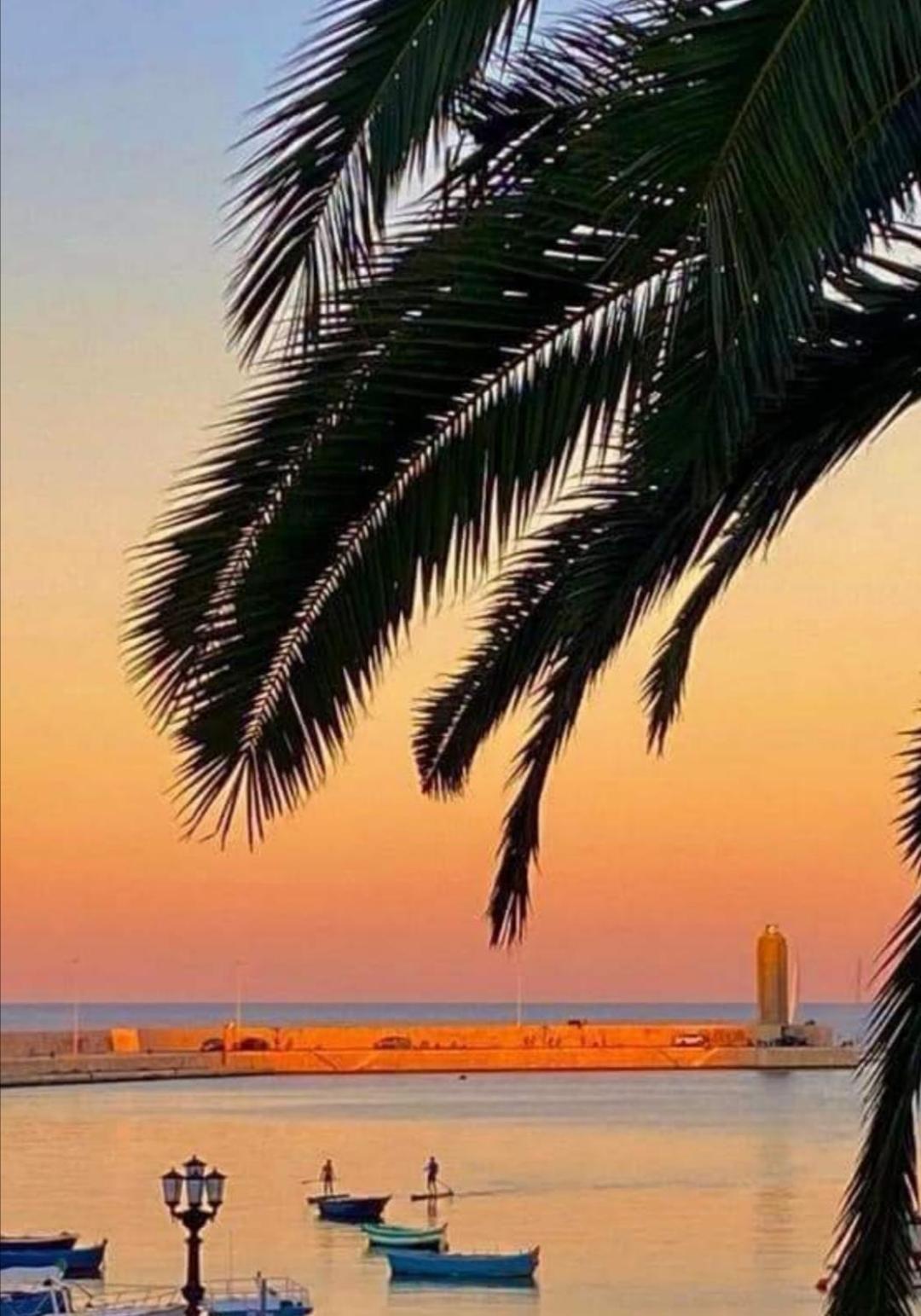 Summer Paradise 바리 객실 사진